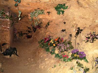 Salle des Fleurs